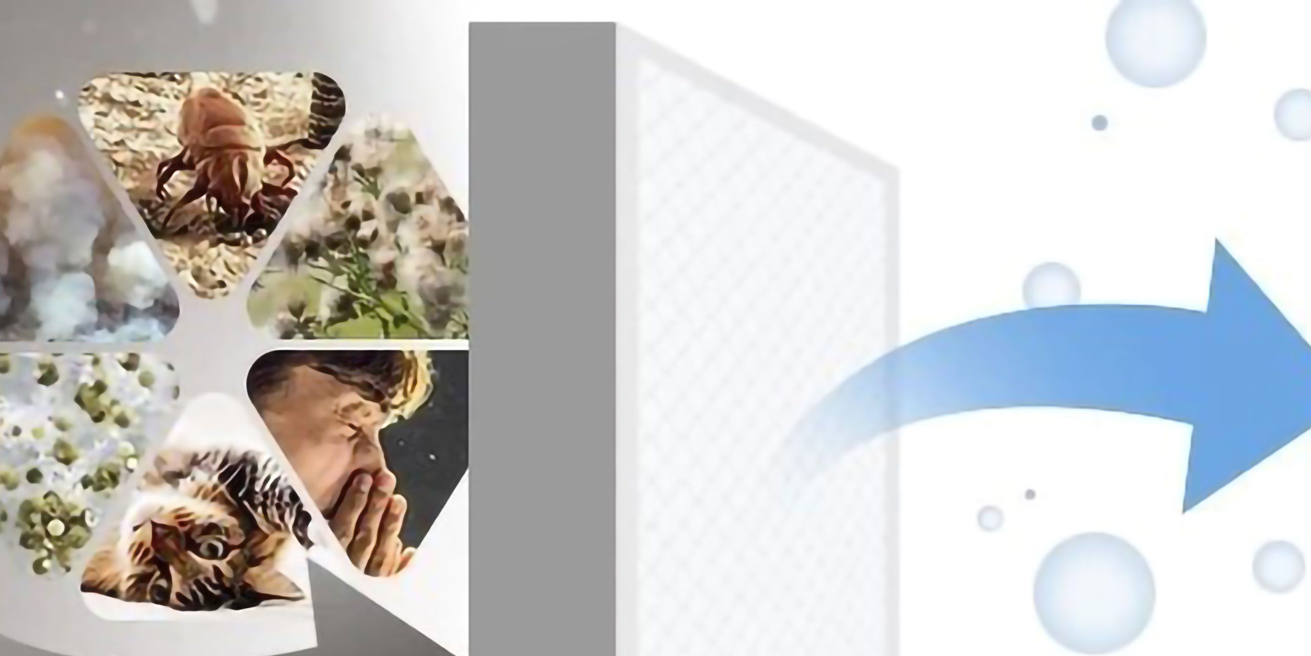 تمیز کردن فیلتر هوای ماشین