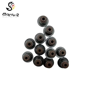 لاستیک ساق سوپاپ(گیت سوپاپ) بی ام دبلیو 740i (اتاق وسط)