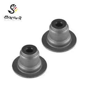 لاستیک ساق سوپاپ(گیت سوپاپ) بی ام دبلیو X1 25iX (اتاق جدید)