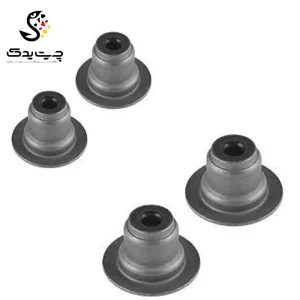 لاستیک ساق سوپاپ(گیت سوپاپ) بی ام دبلیو X1 25iX (اتاق جدید)