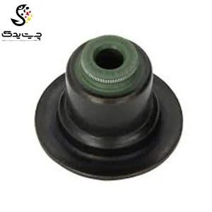 لاستیک ساق سوپاپ(گیت سوپاپ) بی ام دبلیو X3 (اتاق جدید)
