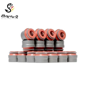 لاستیک ساق سوپاپ(گیت سوپاپ) بی ام دبلیو X3 2.5si (اتاق قدیم)