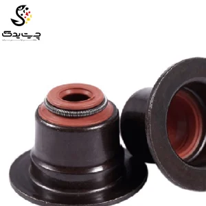 لاستیک ساق سوپاپ(گیت سوپاپ) بی ام دبلیو X6 35iX N54