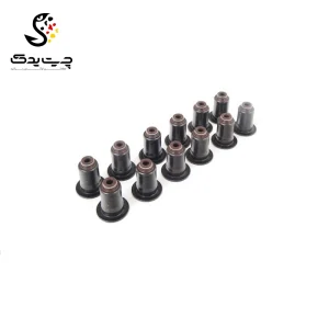 لاستیک ساق سوپاپ(گیت سوپاپ) بی ام دبلیو Z4 35is
