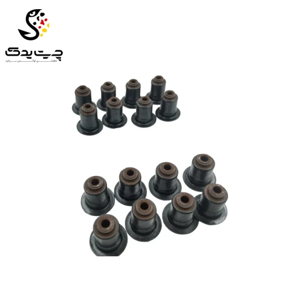 لاستیک ساق سوپاپ(گیت سوپاپ) بی ام دبلیو 220i