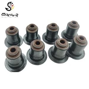 لاستیک ساق سوپاپ(گیت سوپاپ) بی ام دبلیو 220i