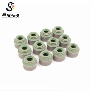 لاستیک ساق سوپاپ(گیت سوپاپ) بی ام دبلیو 320i (اتاق قدیم)