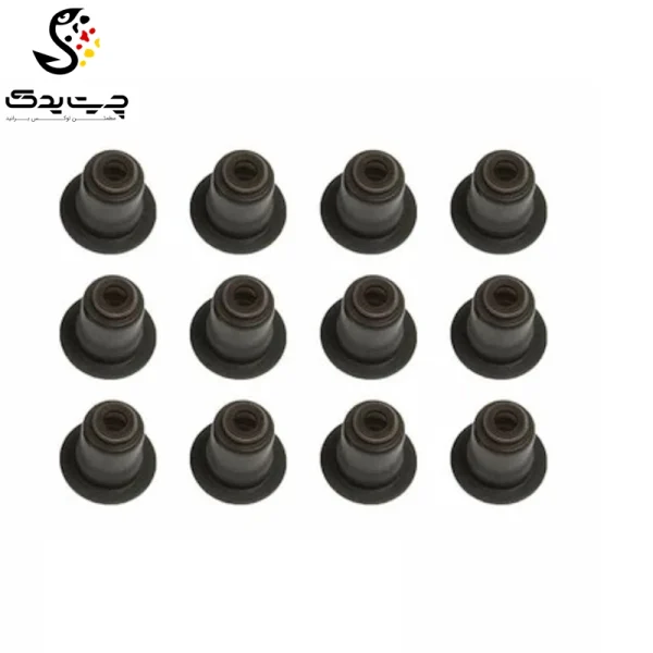 لاستیک ساق سوپاپ(گیت سوپاپ) بی ام دبلیو 325i (اتاق وسط)