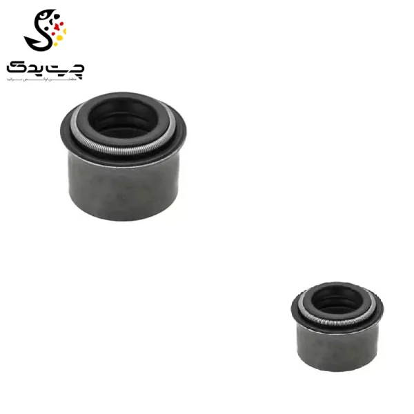 لاستیک ساق سوپاپ(گیت سوپاپ) بی ام دبلیو 328i