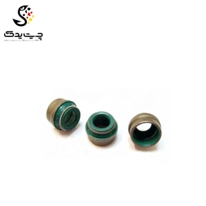 لاستیک ساق سوپاپ(گیت سوپاپ) بی ام دبلیو 520i (اتاق قدیم)