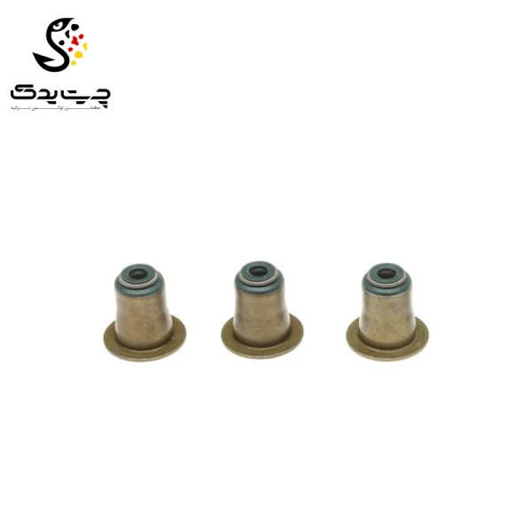 لاستیک ساق سوپاپ(گیت سوپاپ) بی ام دبلیو 523i (اتاق جدید)