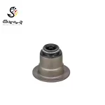 لاستیک ساق سوپاپ(گیت سوپاپ) بی ام دبلیو 523i (اتاق جدید)