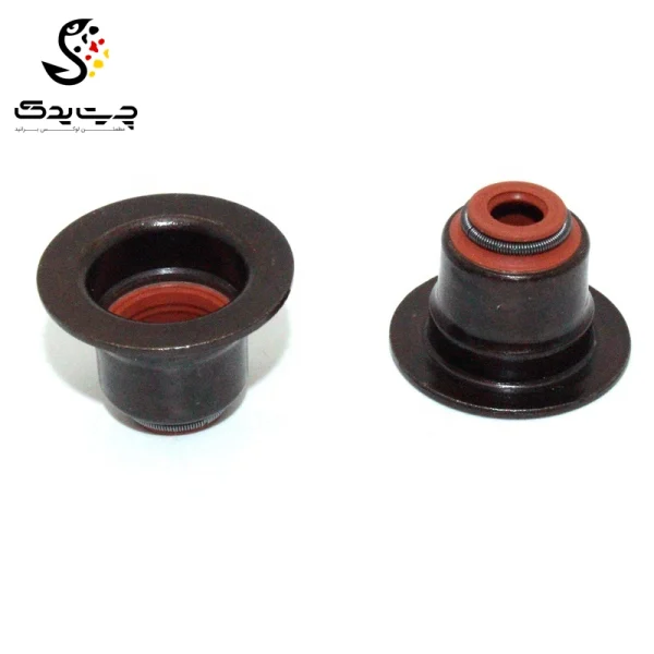 لاستیک ساق سوپاپ(گیت سوپاپ) بی ام دبلیو 525i (اتاق قدیم)