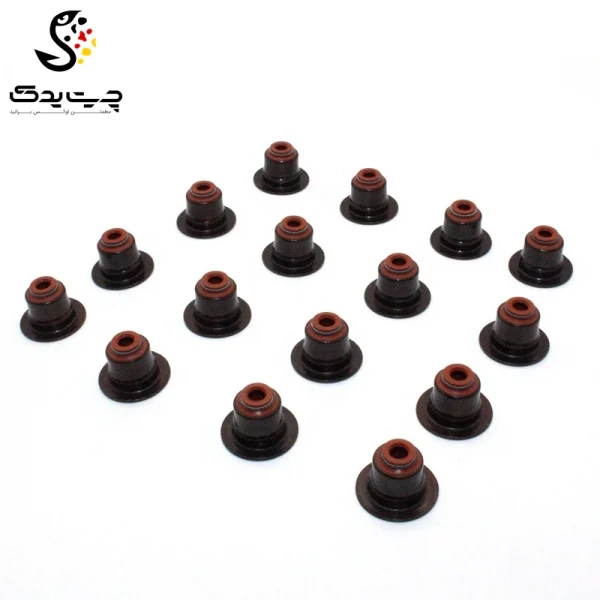 لاستیک ساق سوپاپ(گیت سوپاپ) بی ام دبلیو 525i (اتاق قدیم)