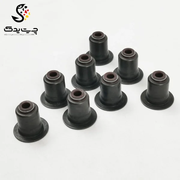 لاستیک ساق سوپاپ(گیت سوپاپ) بی ام دبلیو 530i (اتاق قدیم)