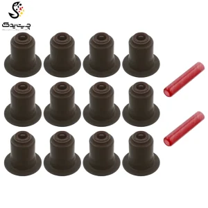 لاستیک ساق سوپاپ(گیت سوپاپ) بی ام دبلیو 530i (اتاق قدیم)