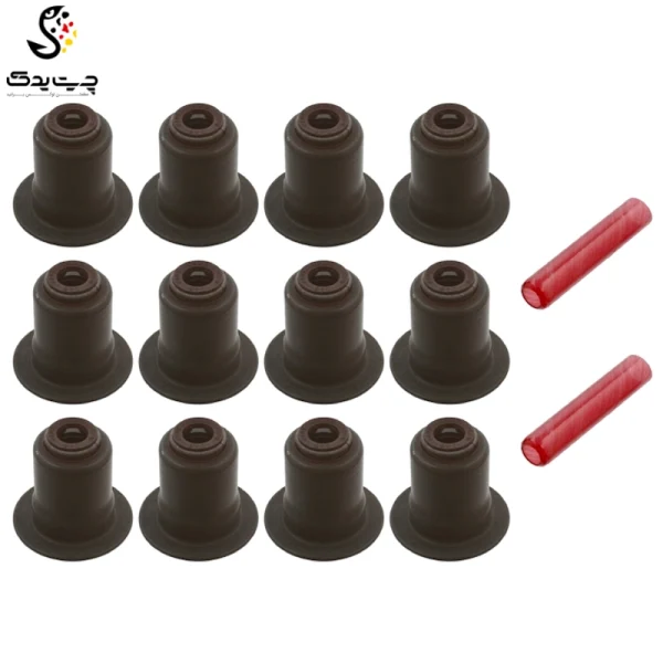 لاستیک ساق سوپاپ(گیت سوپاپ) بی ام دبلیو 530i (اتاق قدیم)