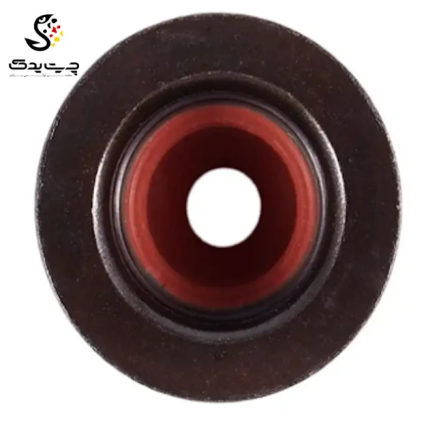 لاستیک ساق سوپاپ(گیت سوپاپ) بی ام دبلیو 530xi (اتاق قدیم)لاستیک ساق سوپاپ(گیت سوپاپ) بی ام دبلیو 530xi (اتاق قدیم)