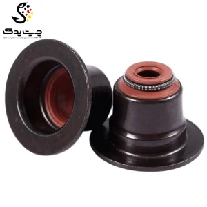 لاستیک ساق سوپاپ(گیت سوپاپ) بی ام دبلیو 530xi (اتاق قدیم)