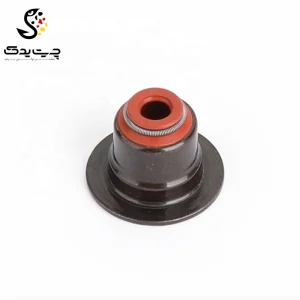 لاستیک ساق سوپاپ(گیت سوپاپ) بی ام دبلیو 540i (اتاق قدیم)