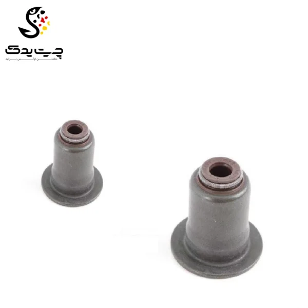 لاستیک ساق سوپاپ(گیت سوپاپ) بی ام دبلیو 730Li (اتاق وسط)