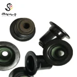 لاستیک ساق سوپاپ(گیت سوپاپ) بی ام دبلیو 740Li (اتاق قدیم)