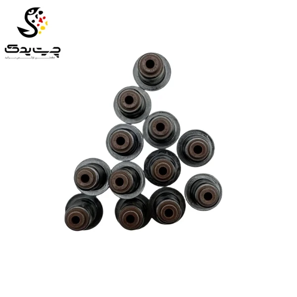 لاستیک ساق سوپاپ(گیت سوپاپ) بی ام دبلیو 740i (اتاق وسط)