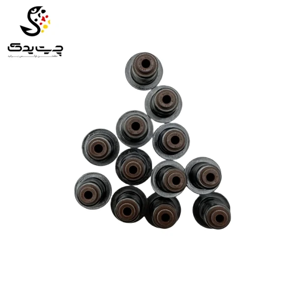 لاستیک ساق سوپاپ(گیت سوپاپ) بی ام دبلیو 740i (اتاق وسط)