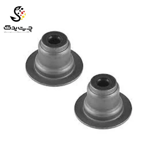 لاستیک ساق سوپاپ(گیت سوپاپ) بی ام دبلیو X1 25iX (اتاق جدید)