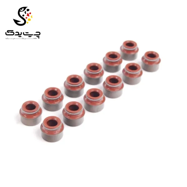 لاستیک ساق سوپاپ(گیت سوپاپ) بی ام دبلیو X3 2.5si (اتاق قدیم)