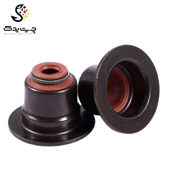لاستیک ساق سوپاپ(گیت سوپاپ) بی ام دبلیو X6 35iX N54