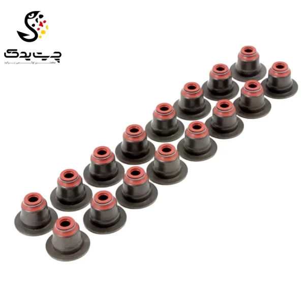 لاستیک ساق سوپاپ(گیت سوپاپ) بی ام دبلیو X6 50iX