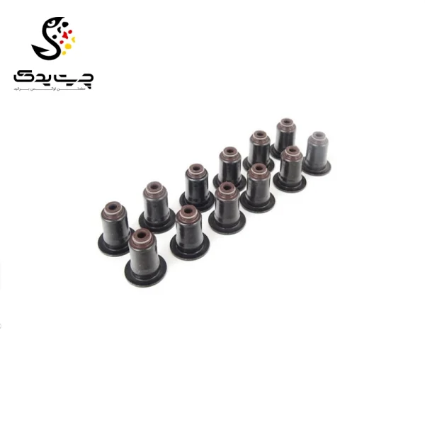 لاستیک ساق سوپاپ(گیت سوپاپ) بی ام دبلیو Z4 35is