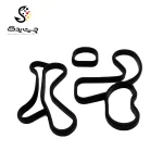 واشر خنک کن بی ام دبلیو X1 25iX (اتاق جدید)