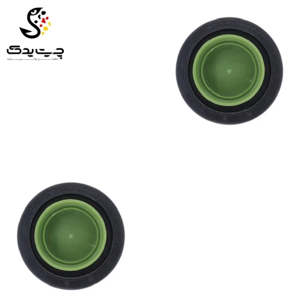 کاسه نمد دیفرانسیل بی ام دبلیو 125i
