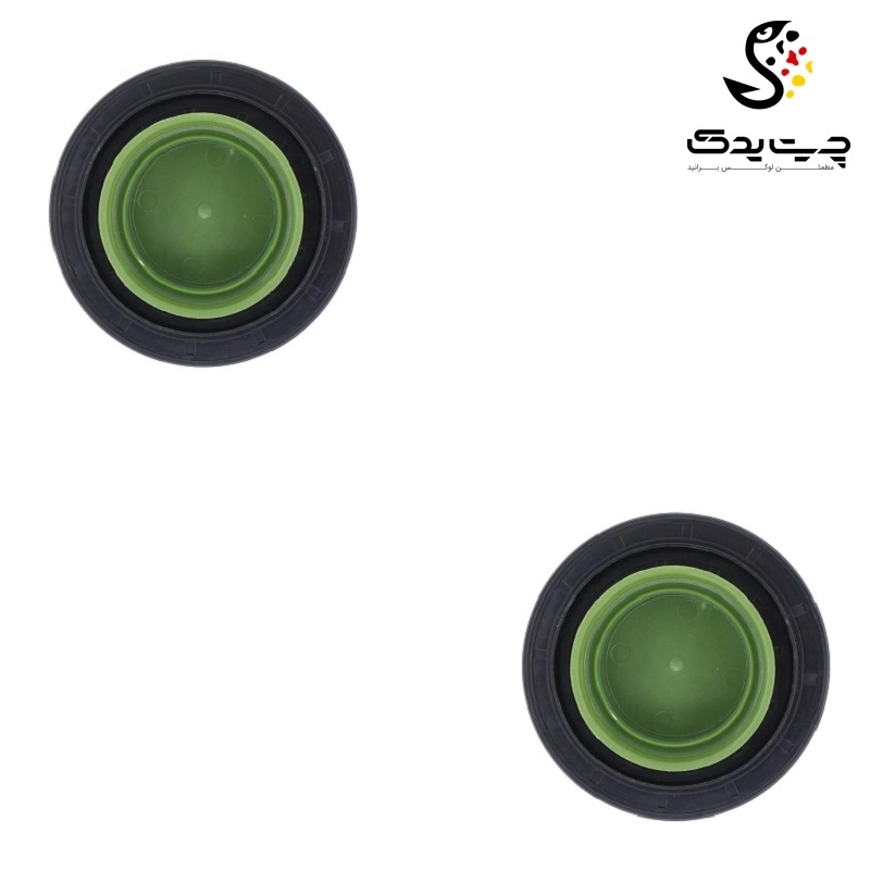 کاسه نمد دیفرانسیل بی ام دبلیو 125i