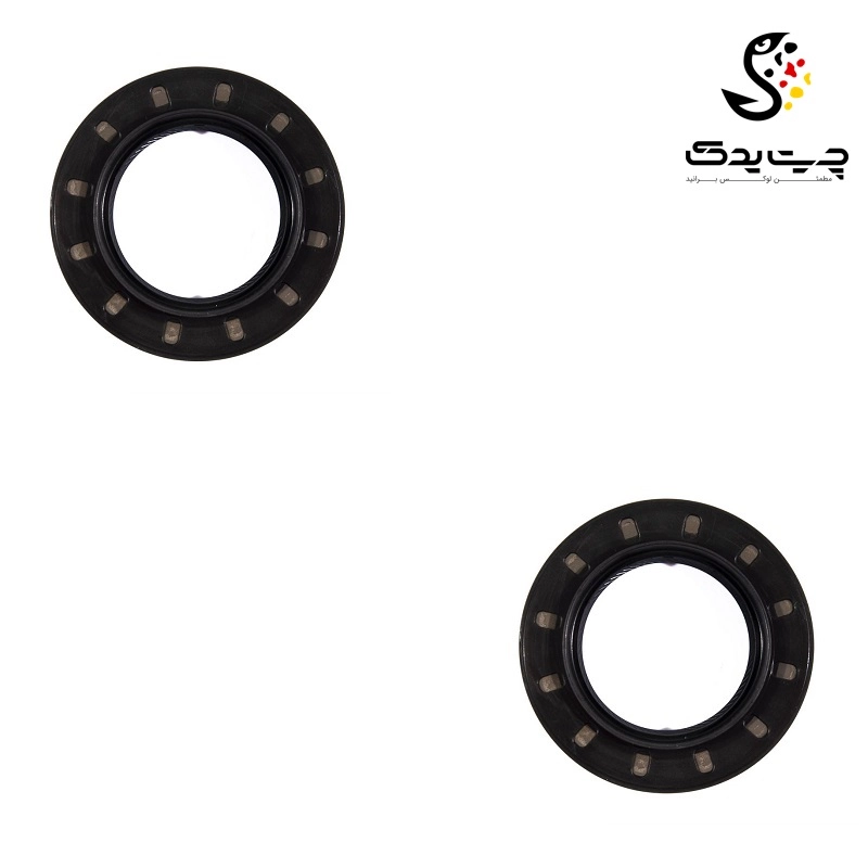 کاسه نمد دیفرانسیل بی ام دبلیو 320i (اتاق قدیم)