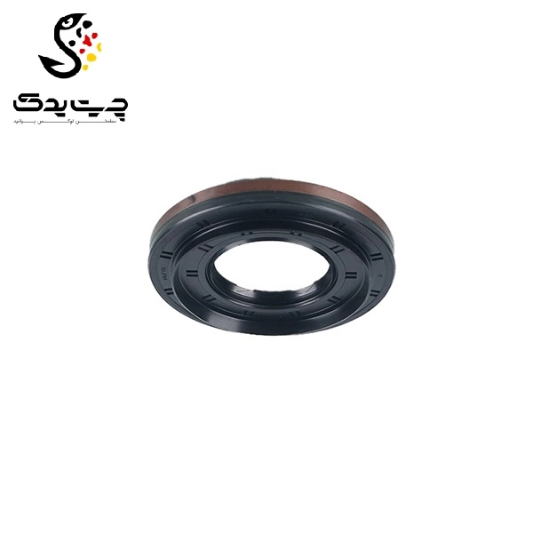 کاسه نمد دیفرانسیل بی ام دبلیو 325i (اتاق وسط)