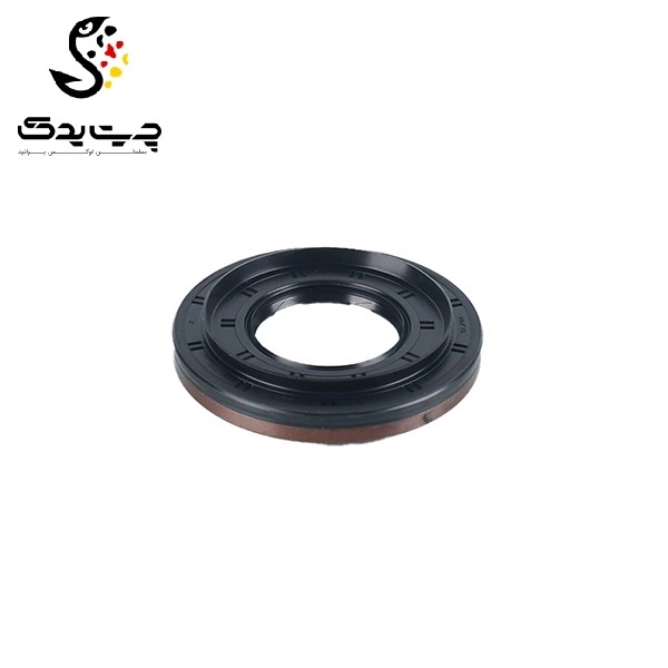 کاسه نمد دیفرانسیل بی ام دبلیو 325i (اتاق وسط)
