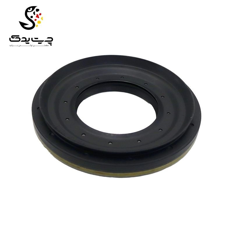 کاسه نمد دیفرانسیل بی ام دبلیو 335i (اتاق وسط)
