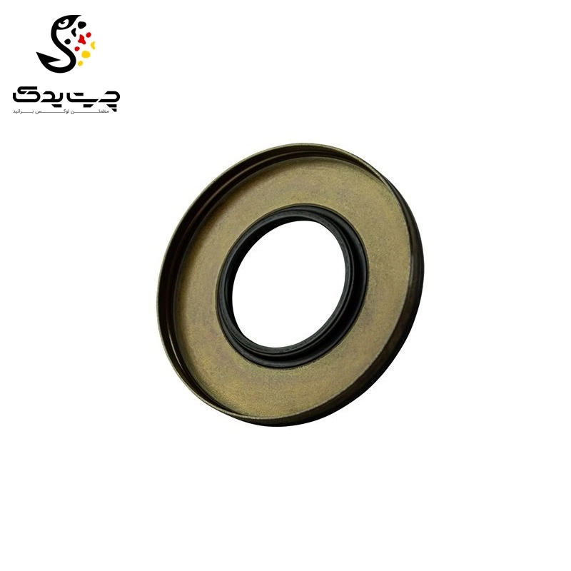 کاسه نمد دیفرانسیل بی ام دبلیو 540i (اتاق قدیم)
