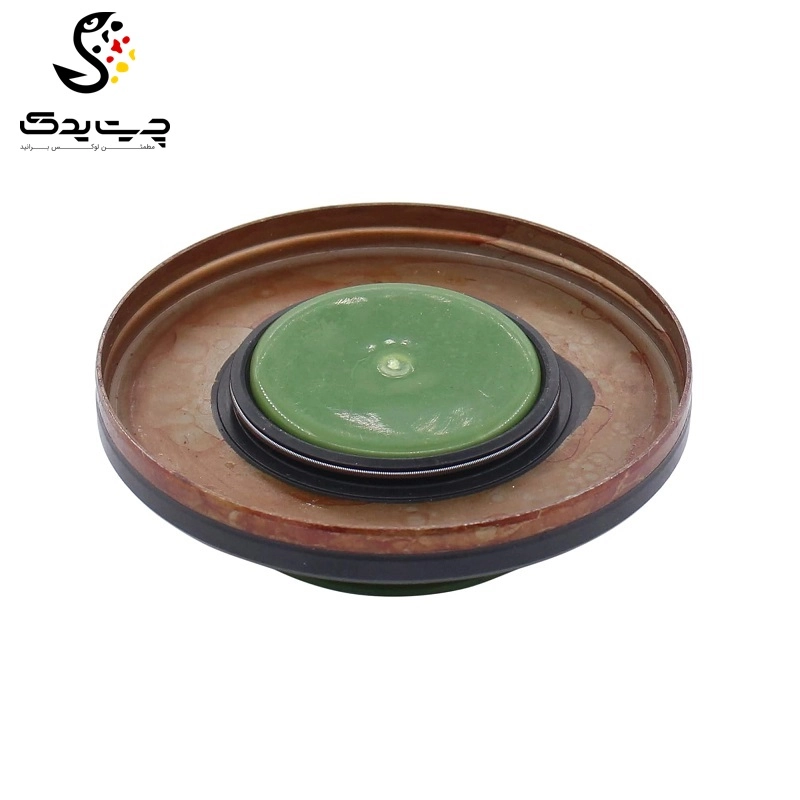 کاسه نمد دیفرانسیل بی ام دبلیو 640i