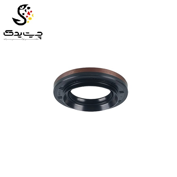 کاسه نمد دیفرانسیل بی ام دبلیو 650i