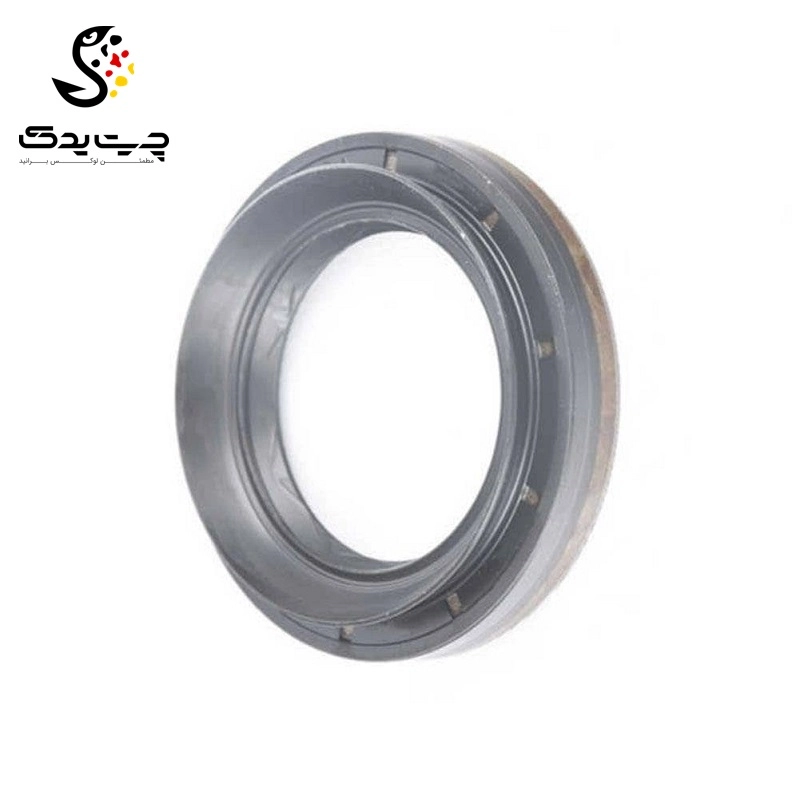 کاسه نمد دیفرانسیل بی ام دبلیو X3 (اتاق جدید)