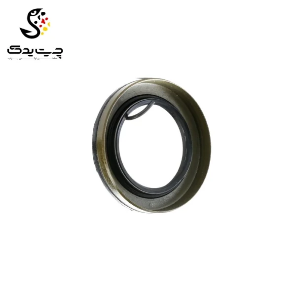 کاسه نمد دیفرانسیل بی ام دبلیو X4