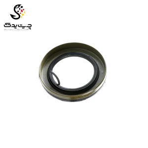 کاسه نمد دیفرانسیل بی ام دبلیو X4