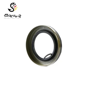 کاسه نمد دیفرانسیل بی ام دبلیو X4