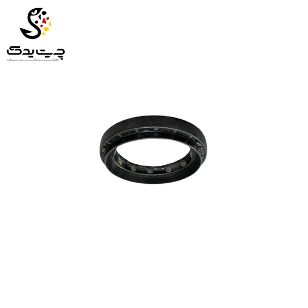 کاسه نمد دیفرانسیل بی ام دبلیو X6 35iX N55
