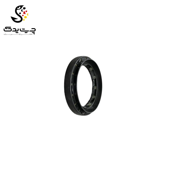 کاسه نمد دیفرانسیل بی ام دبلیو X6 35iX N55