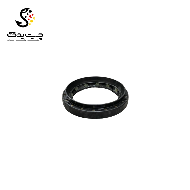 کاسه نمد دیفرانسیل بی ام دبلیو X6 35iX N55